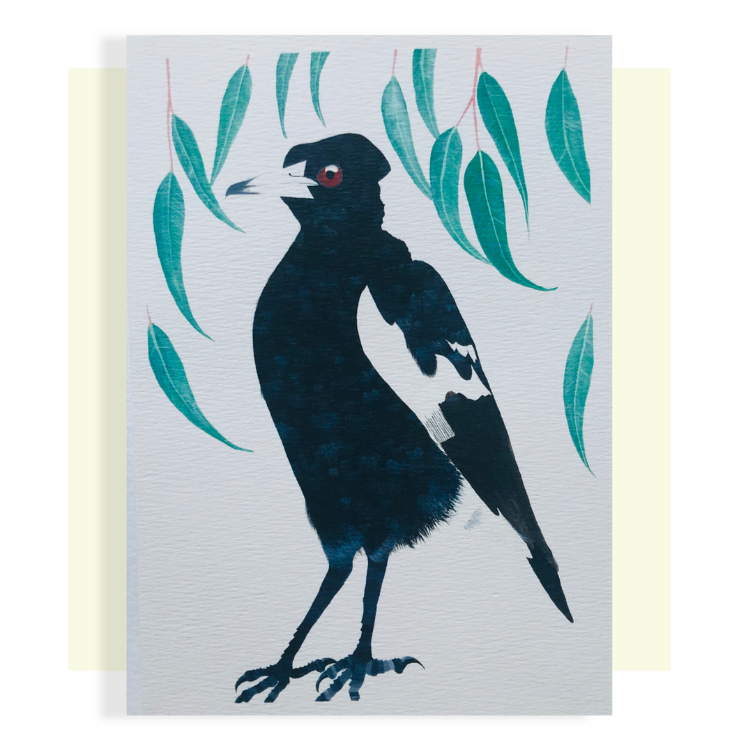 Magpie and gums