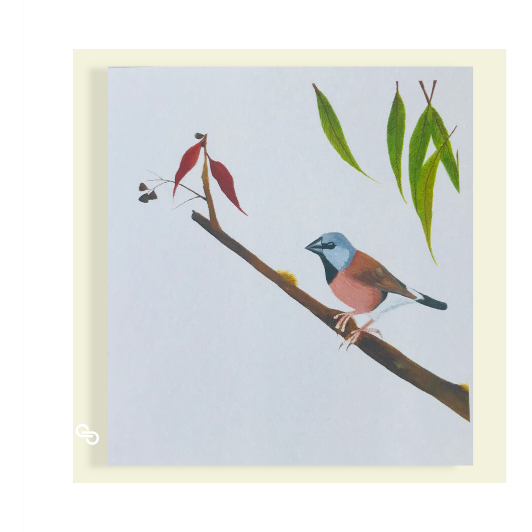 Endangered black throated finch mini card (85mm by 85mm)