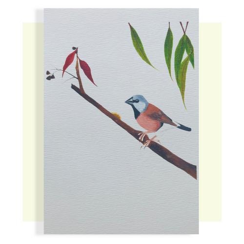 Black Throated Finch