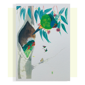 Swift Parrots and Young gift card