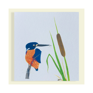 Kingfisher and bullrushes mini card (85mm by 85mm)