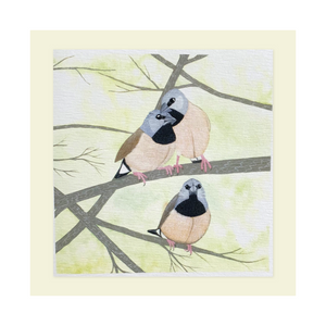 Black Throated Finches