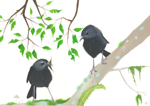 Endangered Black Robin print